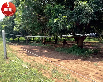 solar fencing