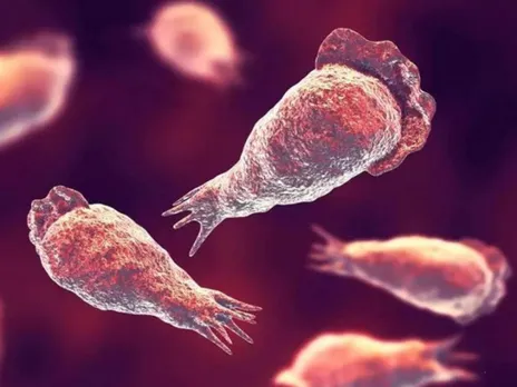 images (1280 x 960 px)(62)