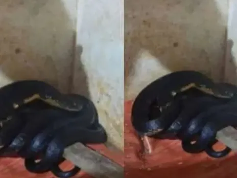 images (1280 x 960 px)(66)