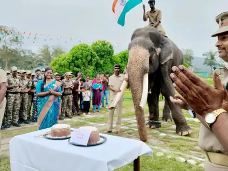 images (1280 x 960 px)(85)