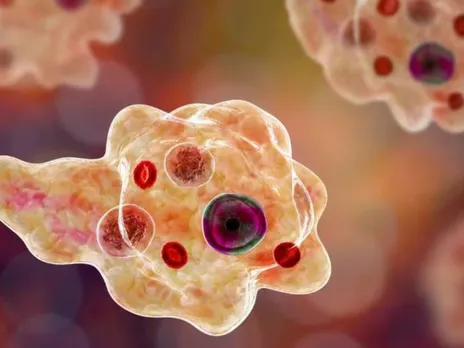 images (1280 x 960 px)(107)