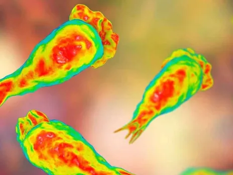 images (1280 x 960 px)(128)