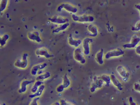 images (1280 x 960 px)(167)