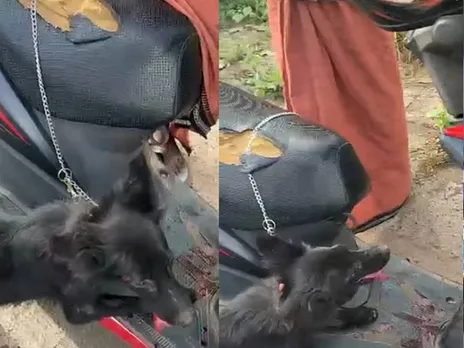 images (1280 x 960 px)(206)