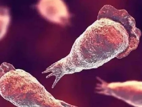 images (1280 x 960 px)(241)