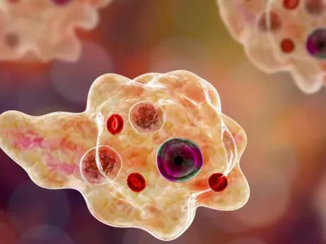 images (1280 x 960 px)(266)