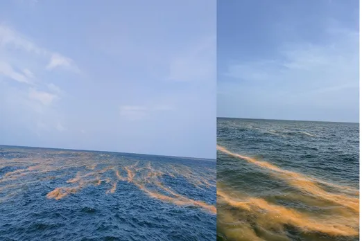 read sea