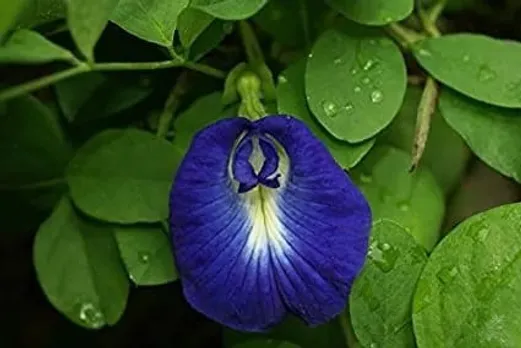 e9aec9d6-b24f-457b-9a51-8862f087120c (1)