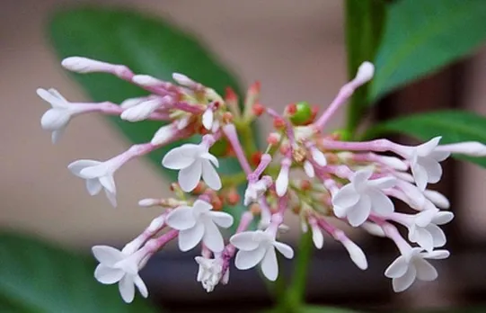 7fa1b6b6-bdc3-4c84-aca1-00cb9c763c2c