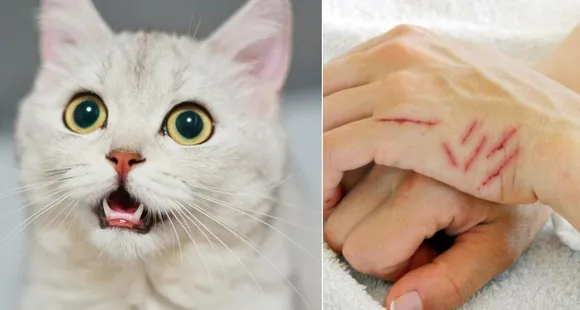 872acecb-9b50-41bc-b97b-fa9f29f483df (1)