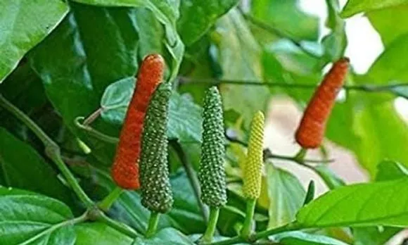 9031f600-6978-439f-9438-c10003d592b8