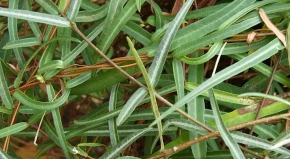 ccb66f60-e202-4f1a-a417-62c71b17475b