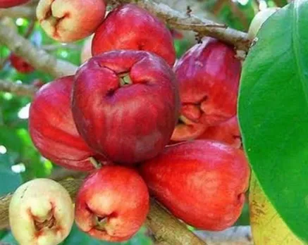 31aa0701-b320-42c3-9f47-0e0c4c866139