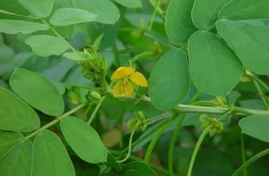 57e47e6f-9a81-4ba1-b02e-ff9ee8f1186e