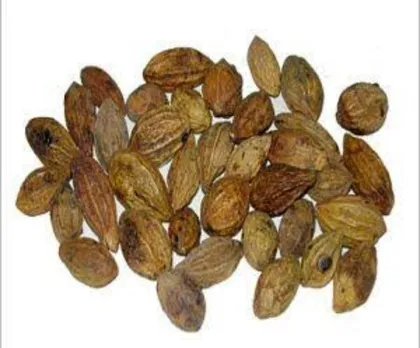 5d14638f-fcde-4c94-aac9-1b88e28b3cb6