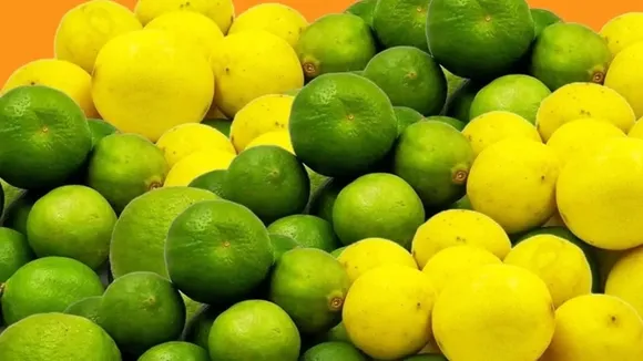 849a18be-455f-4088-b91b-f9722ba4c19f