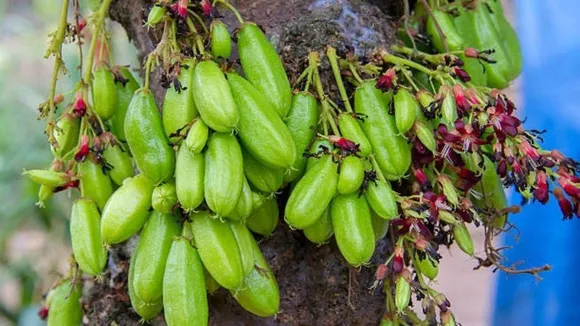 a230b3c7-69fb-4d8e-8161-762d49e87995