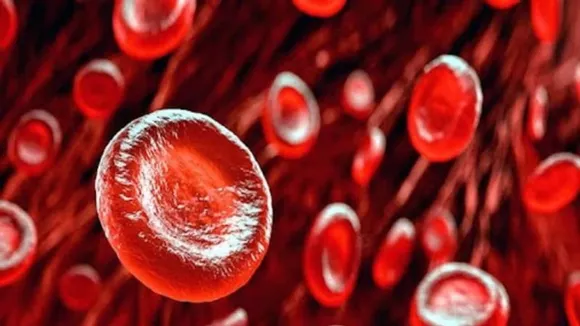 aba987ec-eec6-4fed-8ef7-2f25b85f7e89