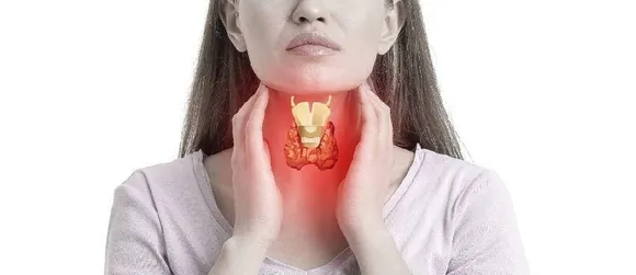 b0026644-a208-4b66-9eb8-a0bba15b8701 (1)