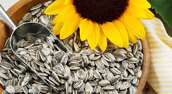 364f0726-3398-4665-b8d0-855d41fa3698