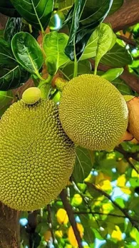 16f3ab9c-1244-44b8-b5fe-a3fe4b5d0f2a