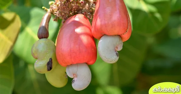 47a62ace-0fd7-4874-92e0-a97ffd47ac2e