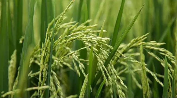 5d55e0b9-9e98-4e9a-824b-69d6aa994fa1 (1)