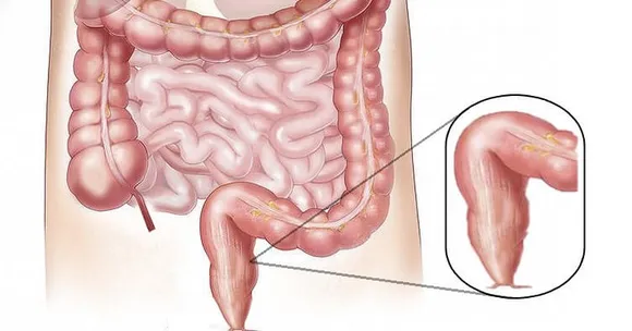 ad744c14-018f-4bb3-9bac-11749688ec68