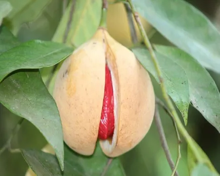 718b8d5c-09e3-4b82-8e41-02605f27a258