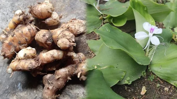 83246728-e838-4cfb-ae27-60a1ee6abbe8