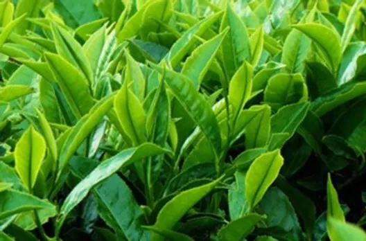 910a6aa4-04ba-40f6-8868-d08ba59203e0