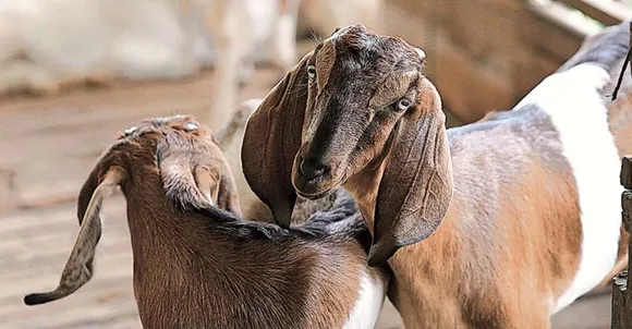 c2a425b9-d29c-4990-864c-ac7a16b71071 (1)