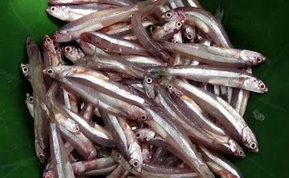 f6e65416-0b2d-40fe-98df-fc664c022810