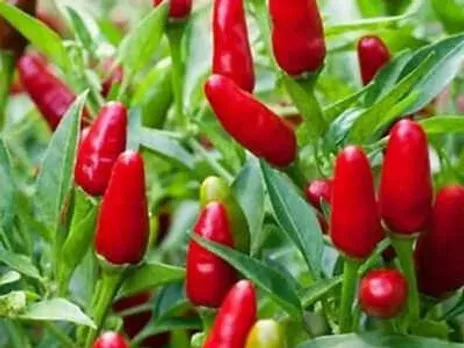 2df83c50-ac6b-4805-9a4f-af3c2672d137