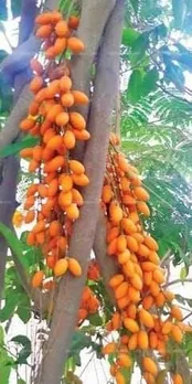 836dfc6e-0a99-460b-ac4f-cbc8ac8d3300