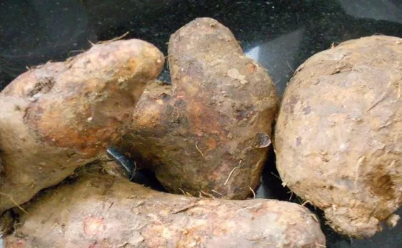 86841dbb-5ce9-47b9-a93e-cb42c41d6de4