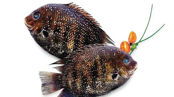 33315aa1-0315-42f4-b8db-149fe28839a3