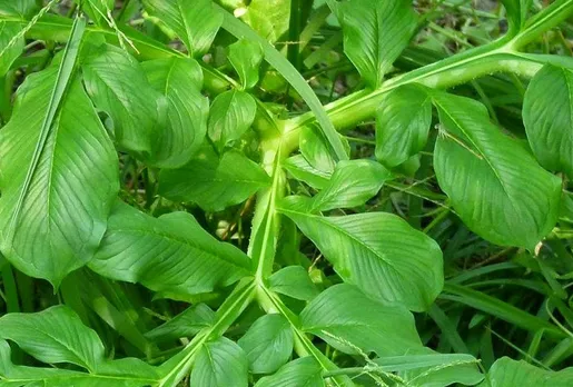 77787588-028a-42f4-b621-d99dfbb70570