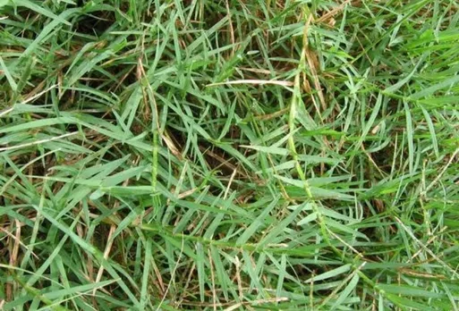 ad633e0e-bbc7-4ffa-b7de-07ffe3a1b4e6