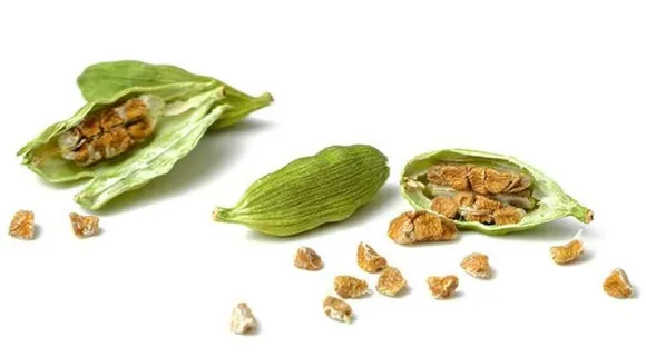 e08b7efb-b563-40d3-8654-5254f8a4afd6