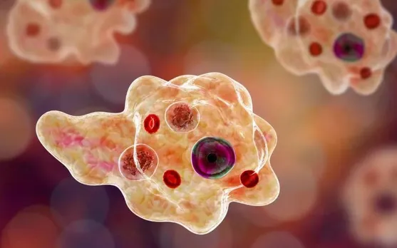 efc3aa17-03be-463e-a305-4ae4fa1a0fe1