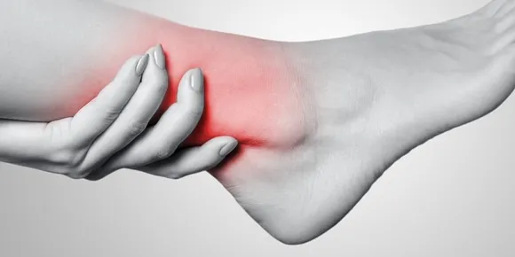 fe06b843-7b13-4d5c-8003-946e2bbbdd86