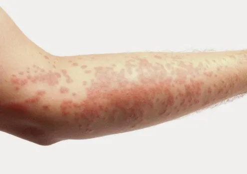 5e6fe410-5433-4854-ad41-aaf431f4f558 (1)