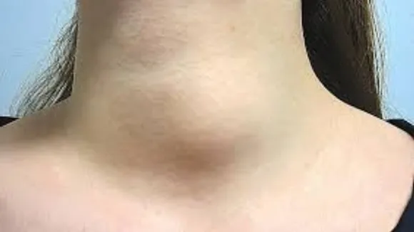 9ccf2d71-8026-493f-bc2c-37b3981b9946