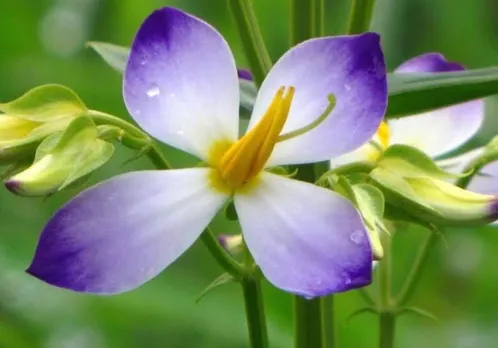 2c8ef3b1-0ef3-4b22-aaaa-55a12e39c61e (1)