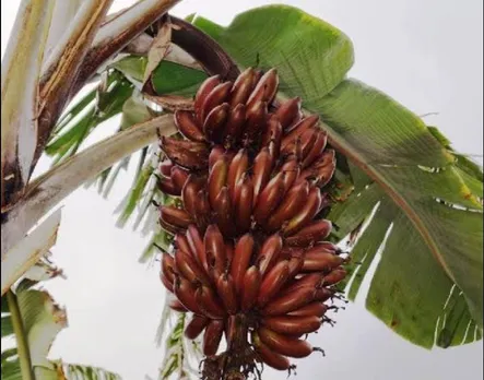 9cf4edfd-8dd1-4a4c-98ba-3f38b8c7a0fd