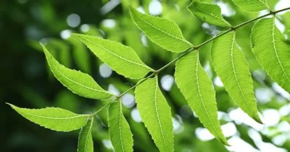 0c43a0a0-68fc-4bd9-ad84-0fcd84d5fb54