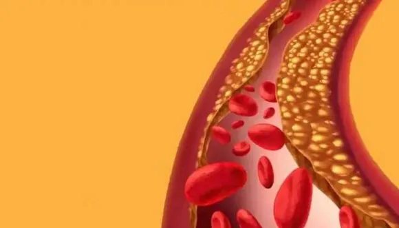 53d9422b-d6ba-45c2-a5bd-0f64fe8950ef