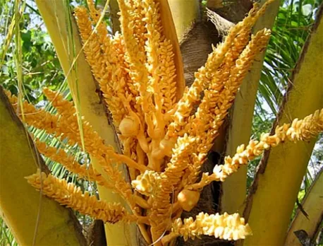 fc6535e1-faf2-4051-80bf-220094b85582