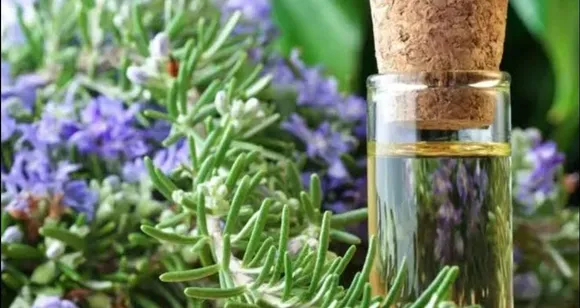 07023592-20b0-4de6-82d2-84f21cc5438e